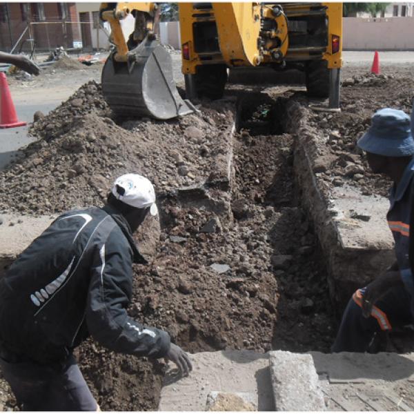 Bobonong Laying black ducts